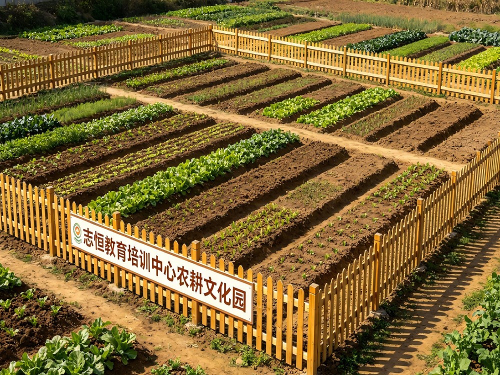 2026优选黄山可靠的叛逆孩子管教学校哪个好